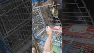 Усовершенствование и доработка мотоблокопоезда Леонида Гусака