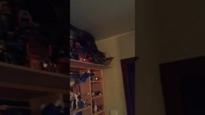 Кот дерет натяжной потолок и считает себя Карлсоном)))