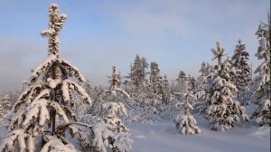 ЖИЗНЬ НА НОВОЙ ЗЕМЛЕ (ИЗМЕНЕНИЕ КЛИМАТА ЗЕМЛИ)