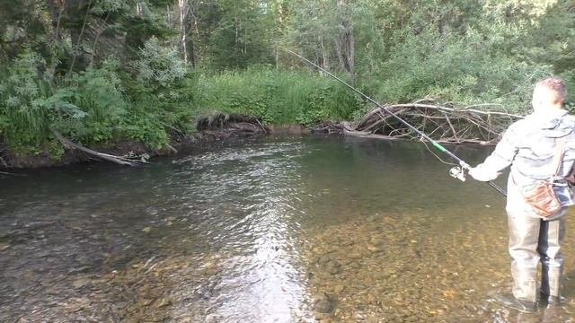 145 Серия Поймал 2 Рыбы Хариус Удочка Поплавок Тайга место Ива, река Даугли