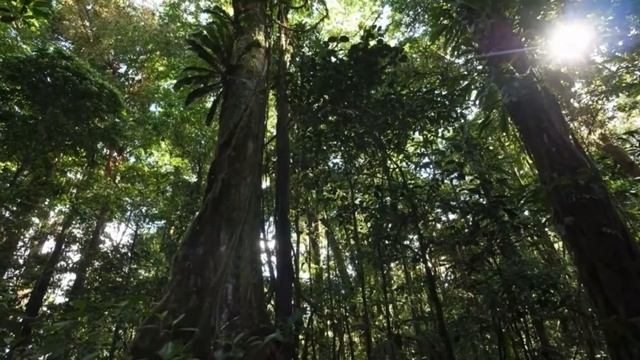 Тәубе намазы. Тәубе намазы қалай оқылады? смотреть онлайн