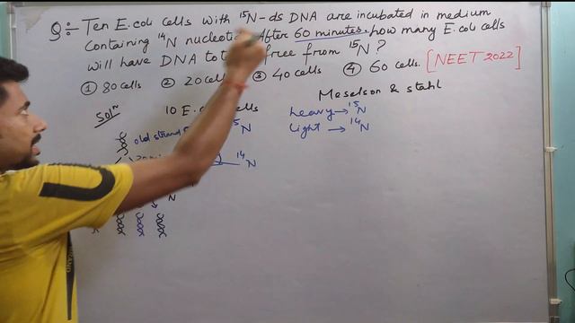 Solving Ten E.coli cells | Question from NEET 2022 | Biology | Class 12 смотреть онлайн