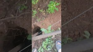 Купил дачу!начал ставить забор ! Не судите строго !первый раз! Продолжение смотрите позже