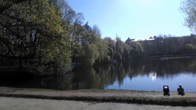 Солнечное утро в Таврическом саду. смотреть онлайн