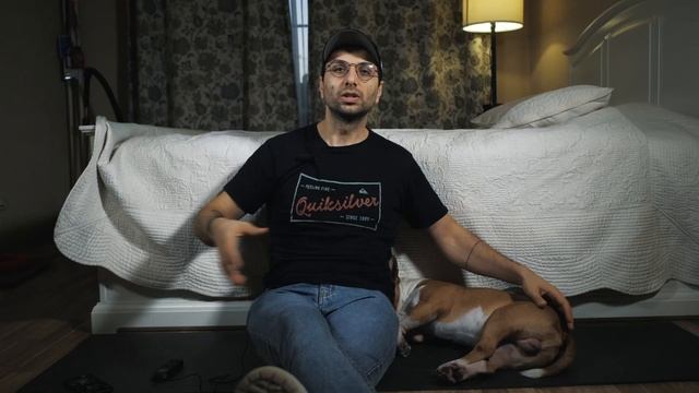 Бультерьер. Мини Бультерьер. Минибультерьер. Миниатюрный бультерьер. 2 года содержания. Мой опыт.