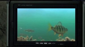 Underwater Fishing Camera | Cameras Underwater
