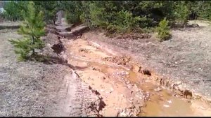 22 04 2016 ГОД ДЕРЕВНЯ РЯБИНОВКА КОВЕРНИНСКИЙ РАЙОН