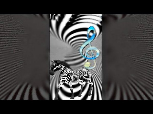 Зебра #графика .Zebra graphics