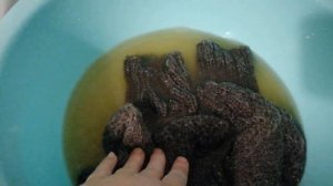 Что вязала зимой и какие связала носки из пряжи "Деревенька"