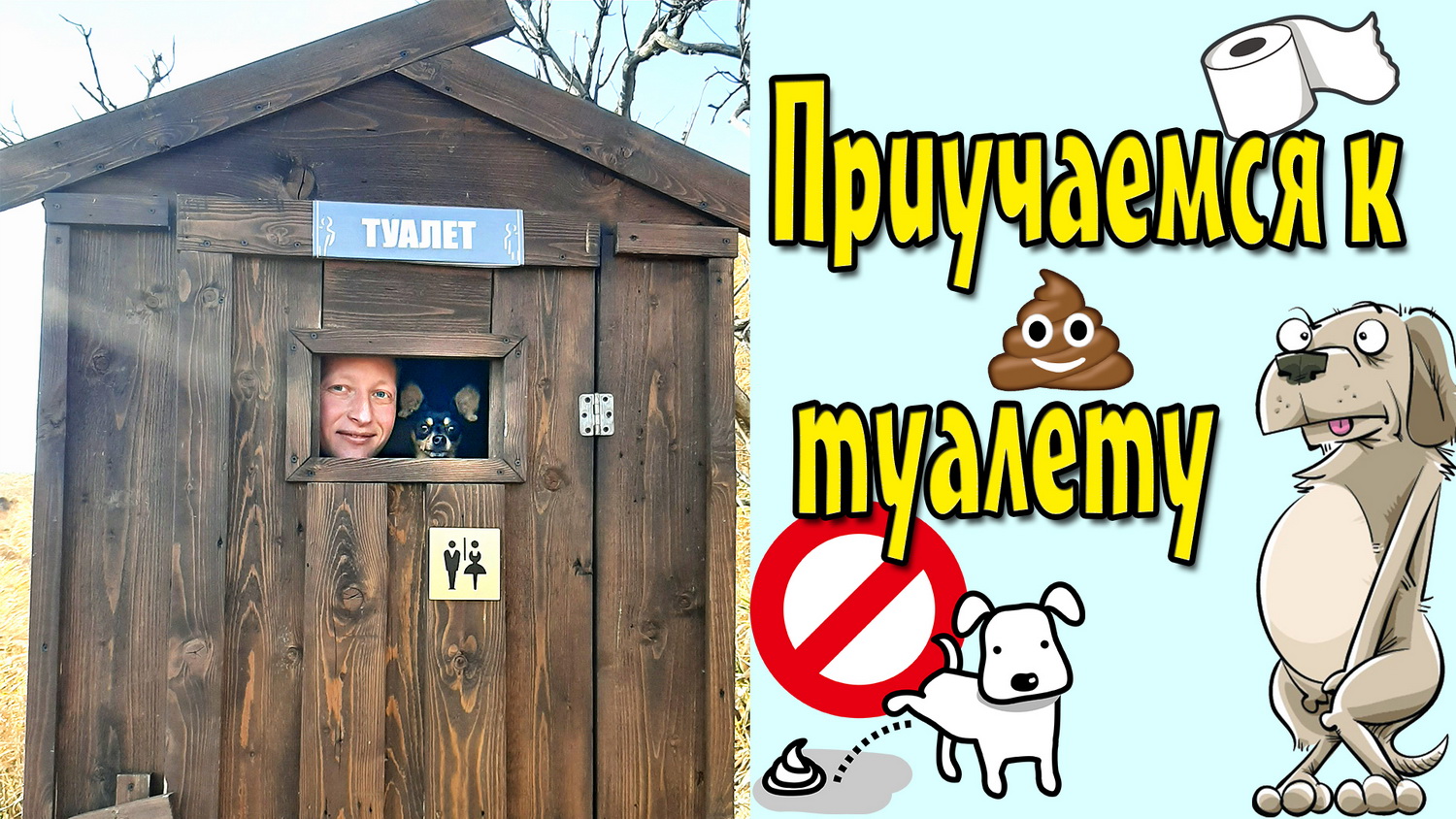 Как научить собаку терпеть в туалет до улицы