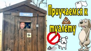 Как приучить собаку к туалету или как научить собаку делать туалет по команде.