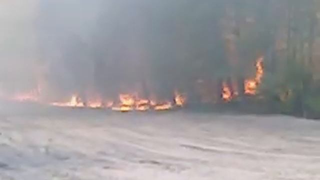 Лесные пожары в беларуси смотреть онлайн