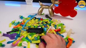 НАДУЛ, СКРУТИЛ И ОЖИВИЛ ШАРИКО СОБАКУ ДЛЯ МЕДВЕДЯ ВАЛЕРЫ.mp4