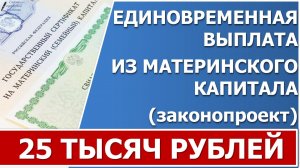 В Госдуме предложили выплатить остатки средств Материнского капитала до 25 тысяч рублей.