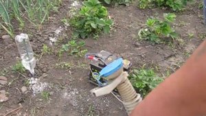 Не мудреный опрыскиватель от тли и колорадского жука. Из омывателя автомобиля.