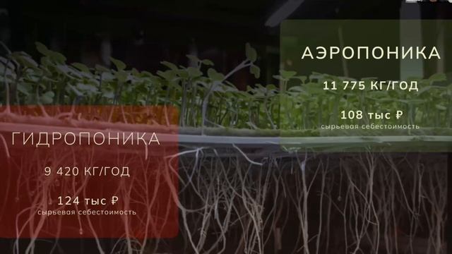 Питч проекта Dark Farm