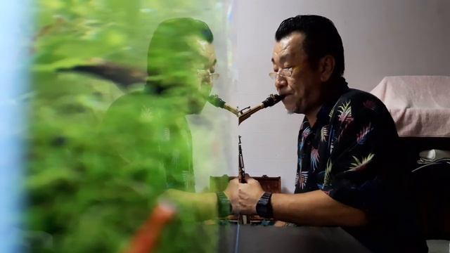 #白い恋人達　#桑田佳祐　nikkanアルトサックスにて耳コピ　あれっ？一番の終わりで音はずしてる！ смотреть онлайн