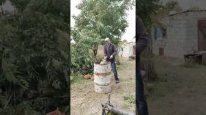 Решил собрать, семена с Арбуза ??