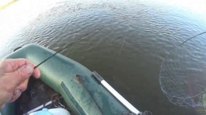 НАЛИМЫ! Значит осень пришла! Рыбалка на ПЕРЕМЁТ