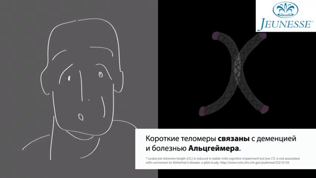 Теломеры и теломераза. Их влияние на продрлжительность жизни.