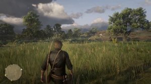 red dead redemption 2 (проблемы с графикой, мерцание, рябь, r9 380)
