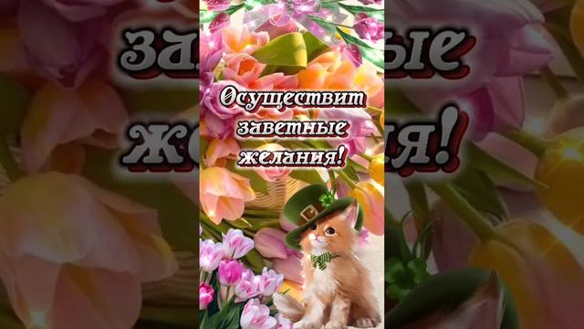 #доброеутро#8марта смотреть онлайн