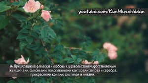 КОРАН. АбдурРахман ар Рушуд.  Сура 3 «Семейство Имрана» (10- 17)