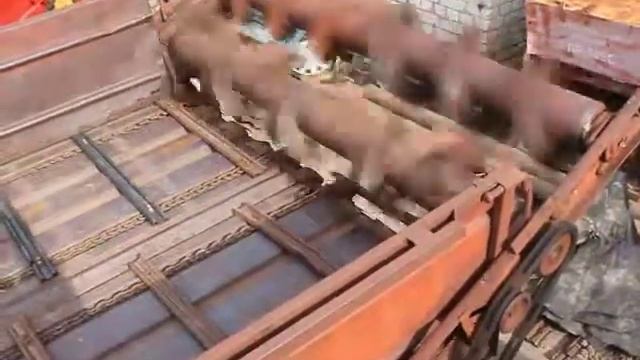 Разбрасыватель органических удобрений РОУ-6