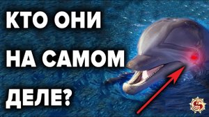 ДЕЛЬФИНЫ ? ЧТО МЫ НЕ ЗНАЕМ О НИХ ? ТОП 10 ФАКТОВ РАЗУМНОСТИ ДЕЛЬФИНОВ