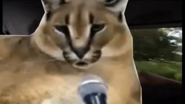 Шлёпа дальнобойщик смотреть онлайн