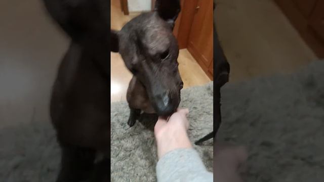 👀 смотреть онлайн