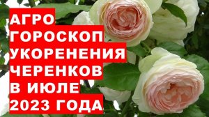 Агрогороскоп нарезки и укоренения черенков и отводков в июле 2023 года