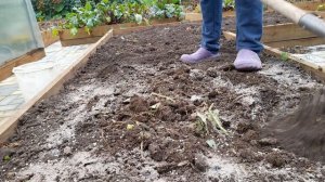 РАССЫПАЮ ЭТО УДОБРЕНИЕ ПО ВСЕМУ ОГОРОДУ ОСЕНЬЮ И СОБИРАЮ УРОЖАЙ ТОННАМИ!!! УДОБРЕНИЕ БОМБА!!!