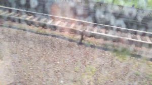 Поездка на ЕМА-502 по ТЧ-1 с рекламой "hotline"