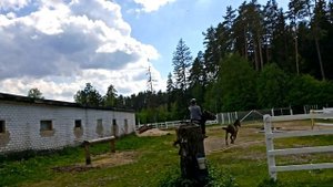 Лошадь понесла и сбросила наездницу