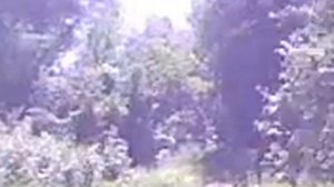 деревня Водвинка возле Унечи