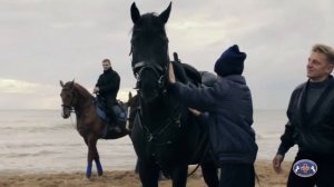 «Возрождая традиции», ролик КШВЕ