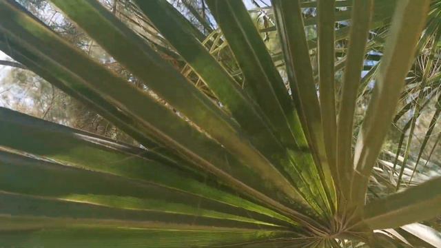 Turcja statek 2.Krajobrazy i widoki! 🌴🌴🌴!wakacje! 🌴🌴🌴 смотреть онлайн