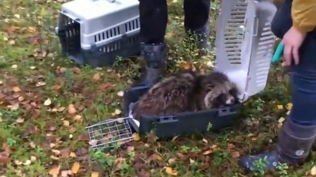 Выпуск еноток и из под Володарского моста смотреть онлайн