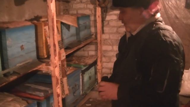 Зимовка пчёл смотреть онлайн