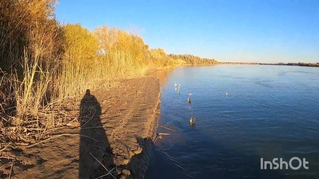 Рыбалка на реке ИЛИ, очень низкий уровень воды, хороший клев ночью на полную луну