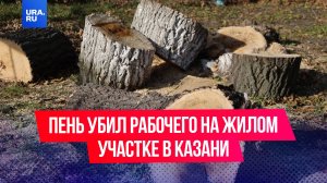 Пень убил рабочего на жилом участке в Казани