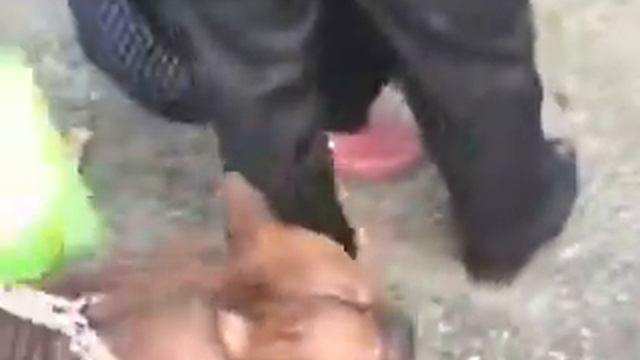 CKU Chongqing Dog смотреть онлайн