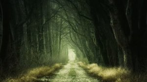 белый шум пение птиц. white noise birdsong