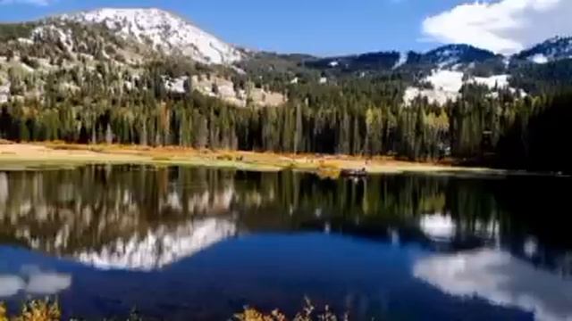 Когда в соседнюю комнату коммуналки вселилась женщина с младенцем. Истории из жизни смотреть онлайн