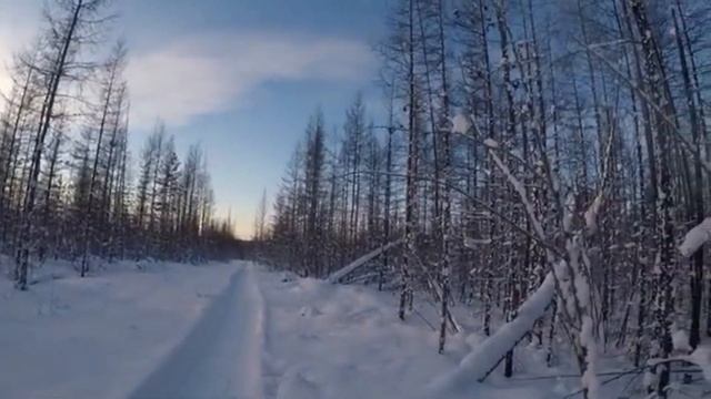 Эвенкия . Как уезжают на охоту ! смотреть онлайн