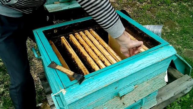 Расширение пчелиных семей весной. смотреть онлайн