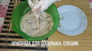 ШАШЛЫК ИЗ УТКИ ДОМА/шашлык без мангала/шашлык в духовке/