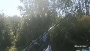 оз. Сенеж. Рыбалка в жаркий день.