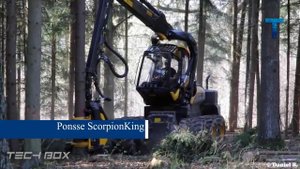 Удивительные инструменты и техника для работы с Деревом